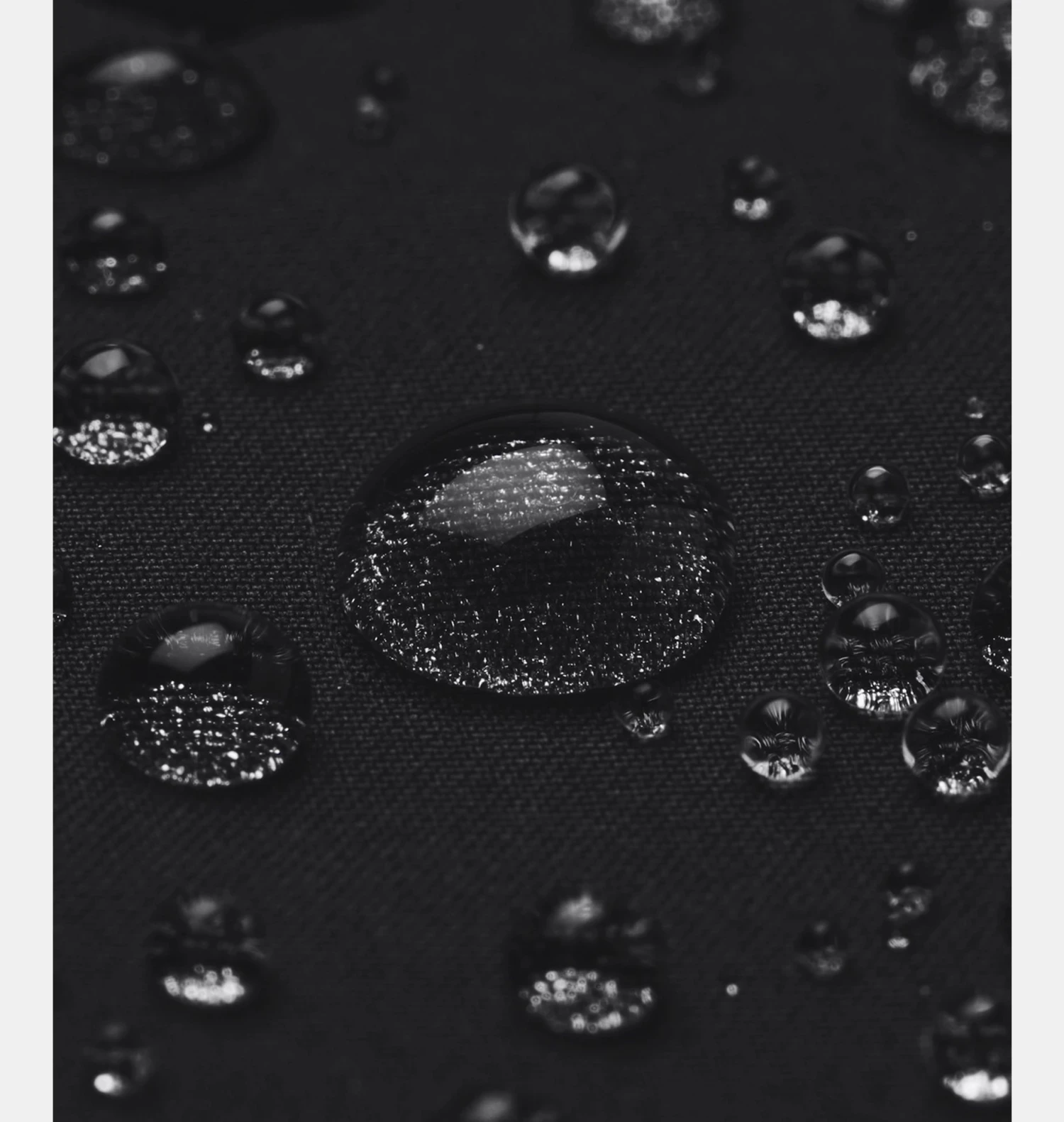 Under Armour Project Rock Brahma Pants 5 Under Armour Project Rock Brahma Pants - Image 5